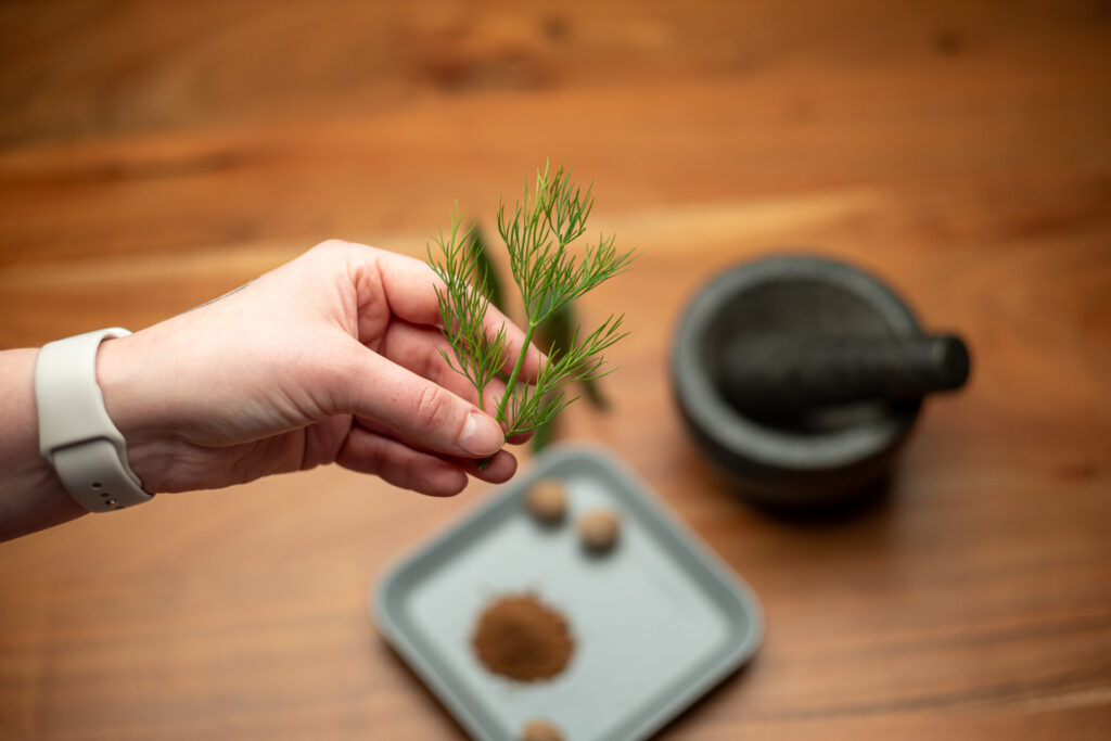 Dill in Hand gehalten