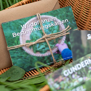 Wildpflanzen Bestimmungskarten Produktbild